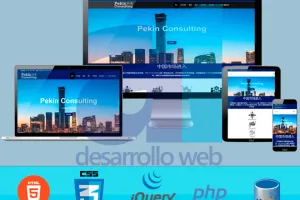 Desarrollo de sitios Web